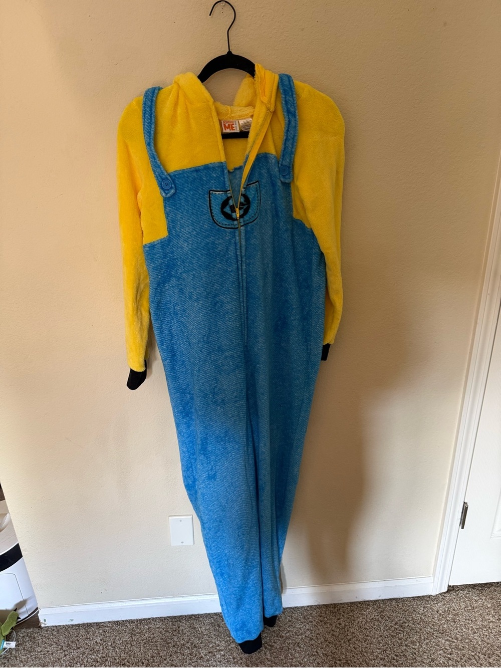 Women’s Despicable Me Costume